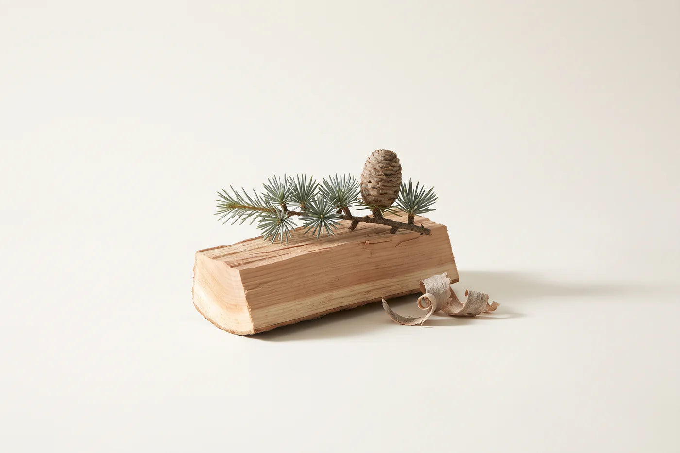 A split billet of Atlas cedar heartwood with a needle sprig, a small upright cone and two shavings.