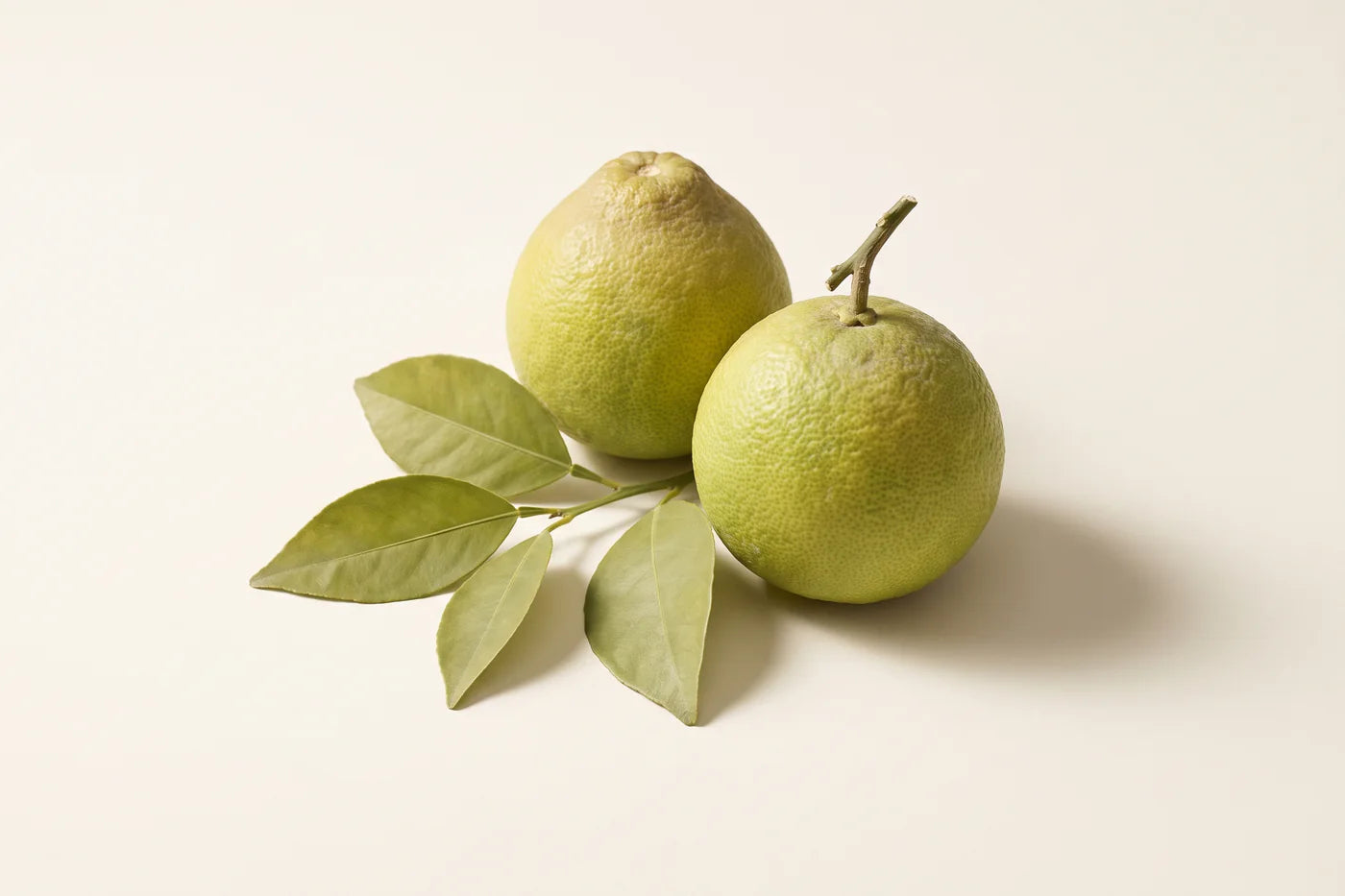 Two bergamot fruits with green-yellow rind, one pear shaped, beside a sprig of four citrus leaves.