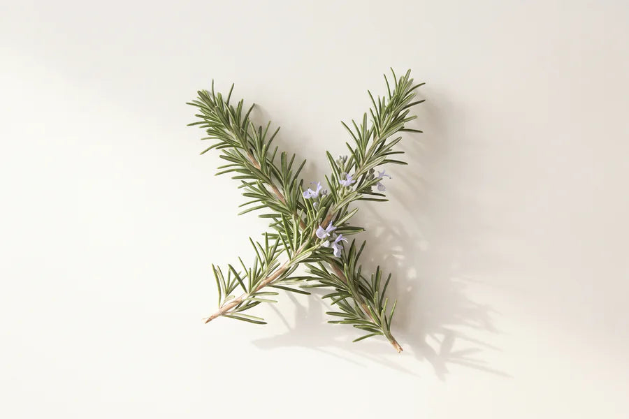 Rosemary